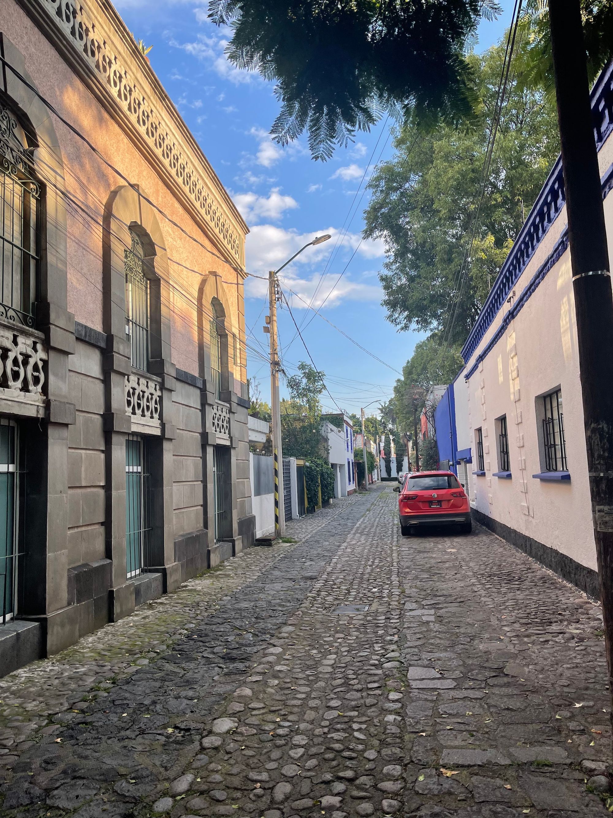 Cobble street in Coayacán